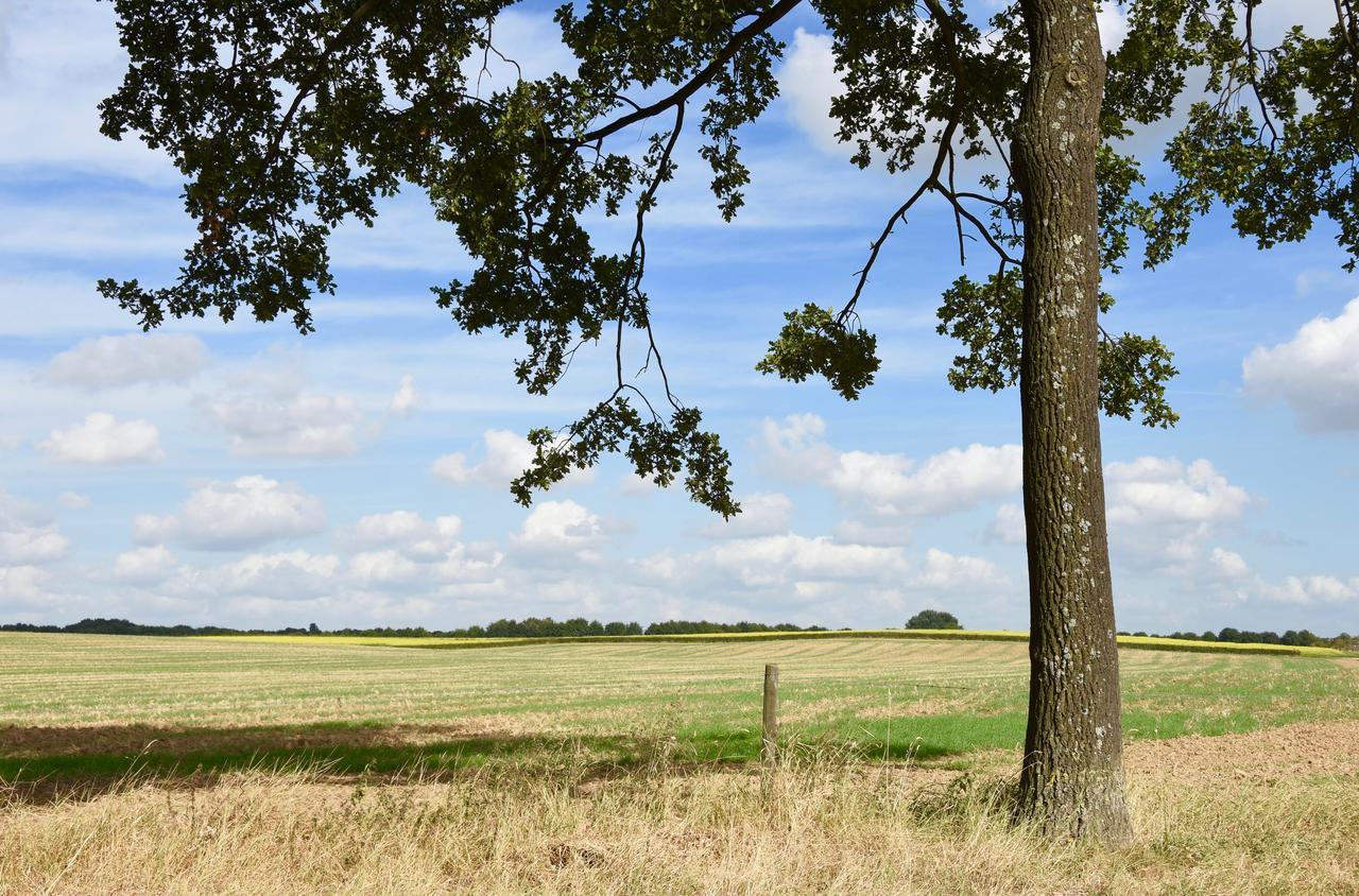 Bed and Breakfast De Hagendoorn Moorveld Exterior foto